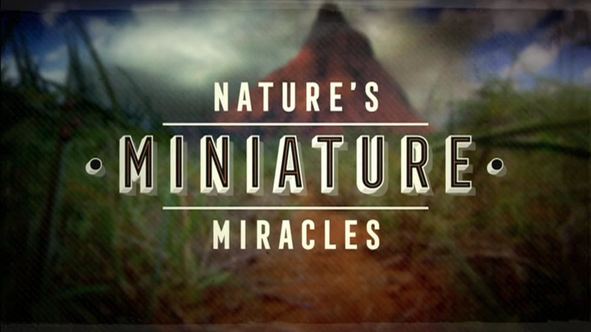 Natural World: Nature's Miniature Miracles. Pre and Post Title