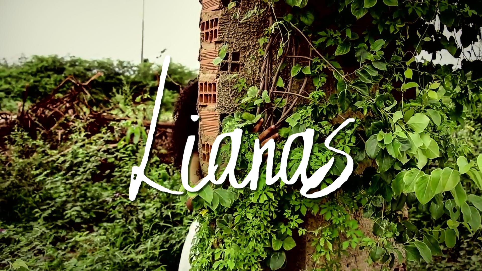 Lianas
