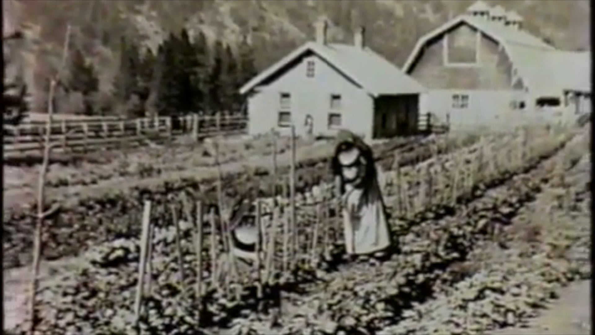 A DIFFERENT PATH - Then we went to work