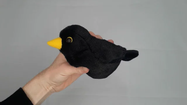 Stuffed black sale bird