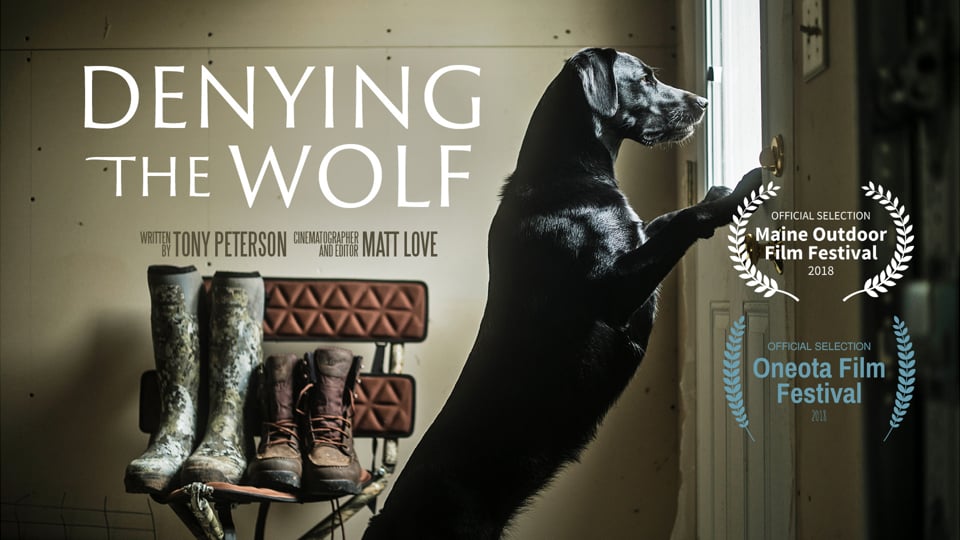 Denying The Wolf still