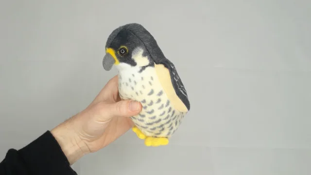 Falcon bird outlet toy