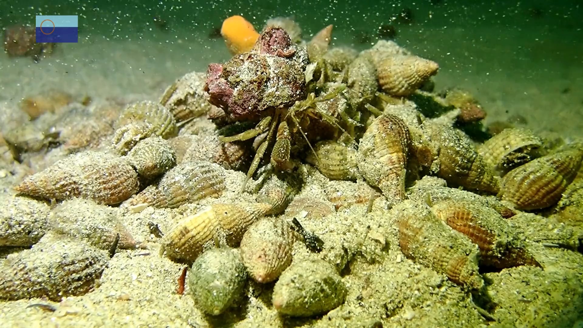 de repente un extraño