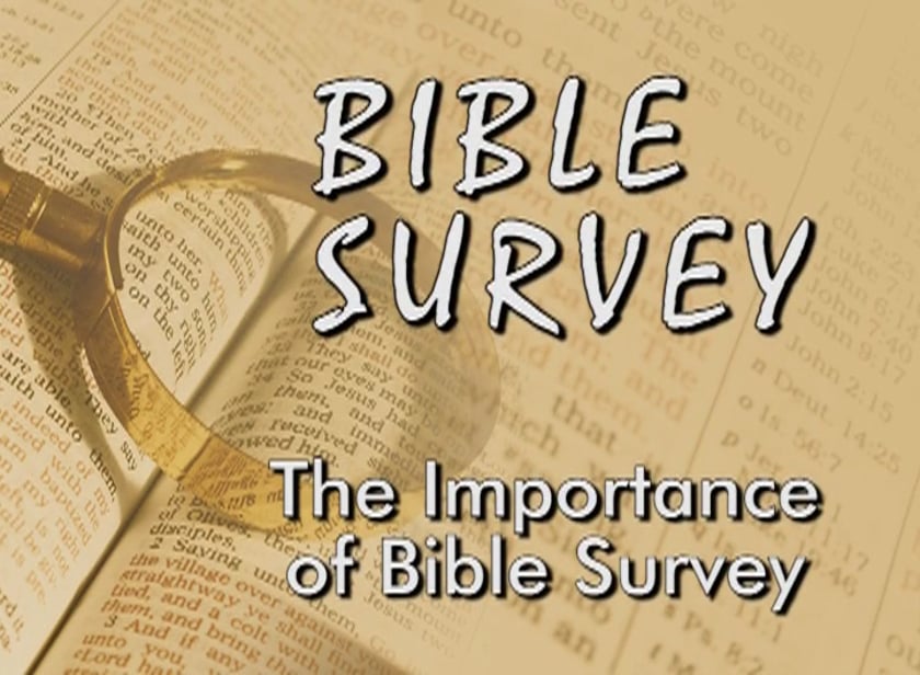 Bible Survey 2010 – GLC