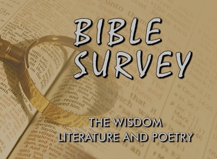 Bible Survey 2010 – GLC