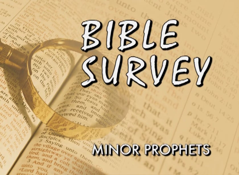 Bible Survey 2010 – GLC