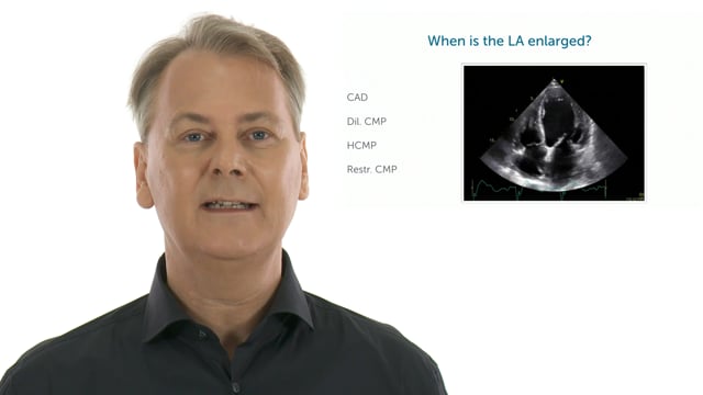 Why is it important to assess the LA size?
