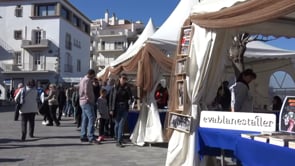 Tot a punt per a l'estrena de La Vila del Llibre