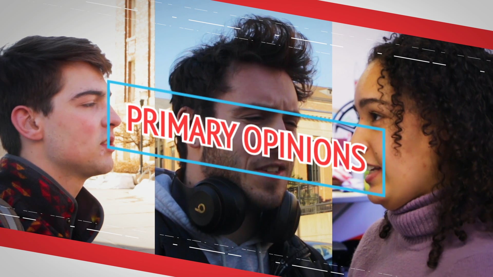 Primary Opinions