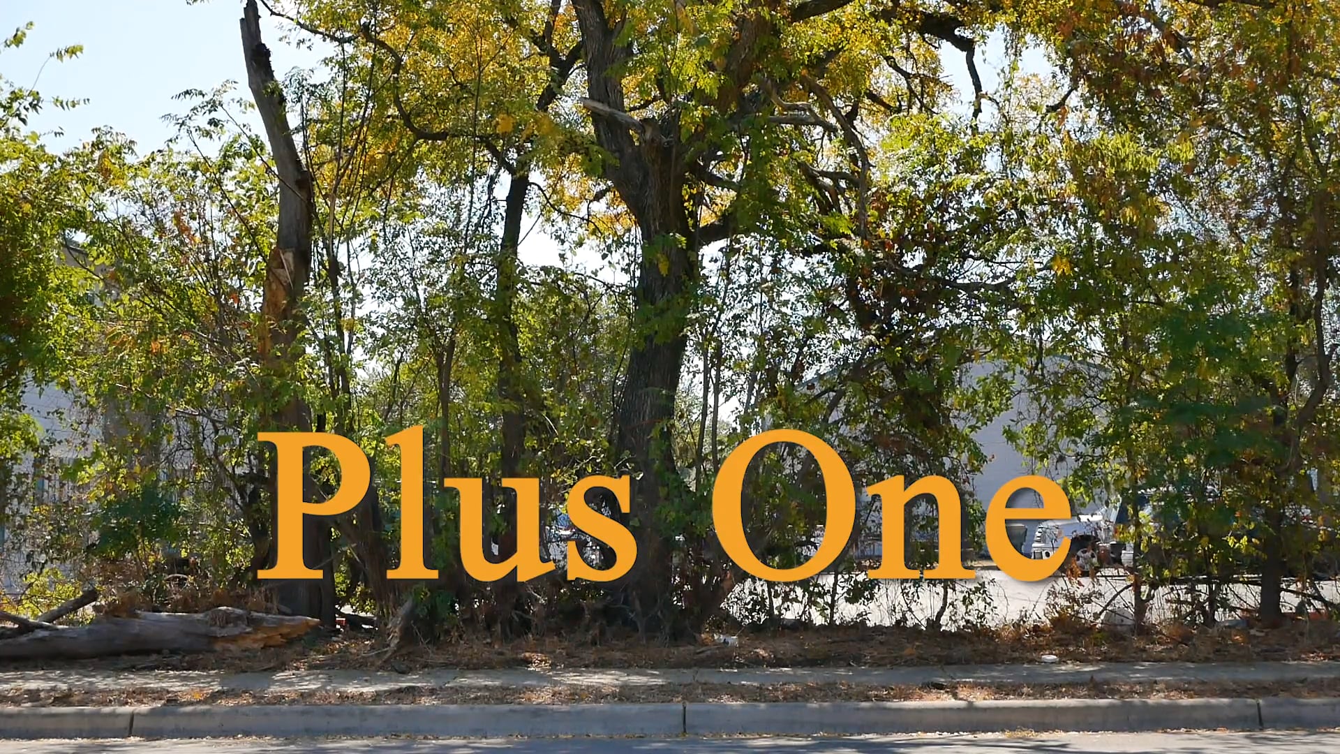 Plus One [SHORT FILM]