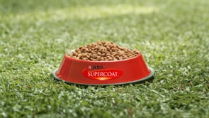 Paul Halili | Purina : Supercoat | Holiday