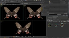 Houdini Essential UVW - 09 - UV Compositing