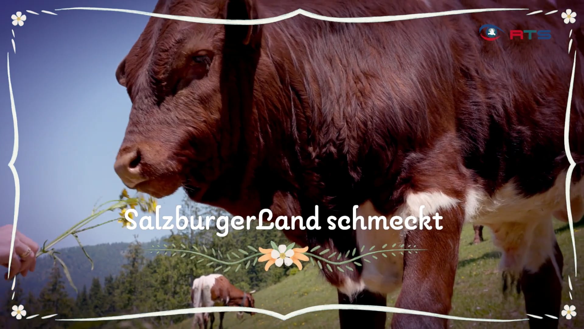 salzburgerland-schmeckt-von-der-messe-hohe-jagd-und-fischerei