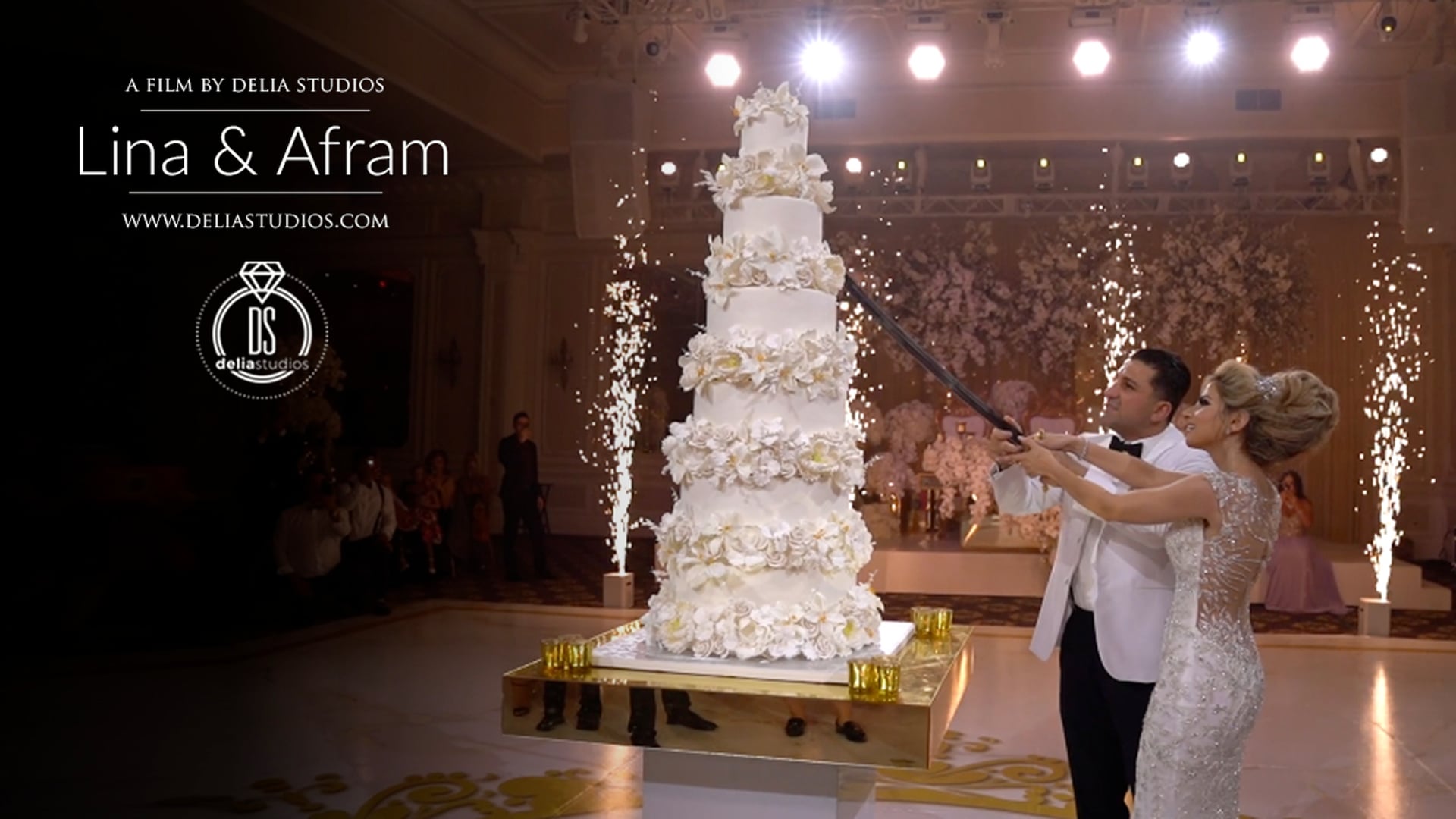 Wedding Videography Delia Studios