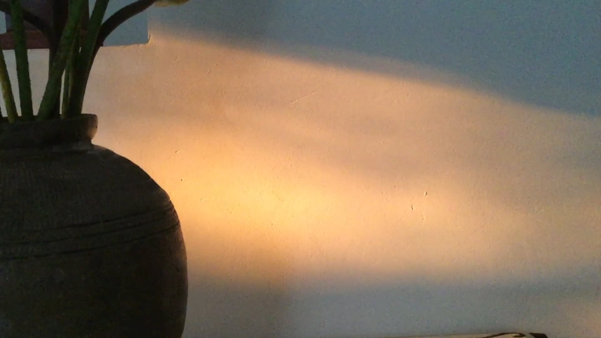 seen and heard this afternoon from afar and up close