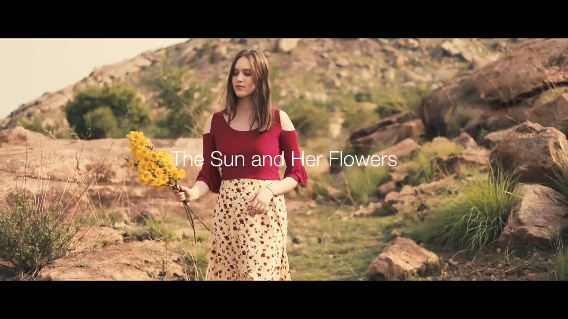 The Sun and the Flowers on Vimeo