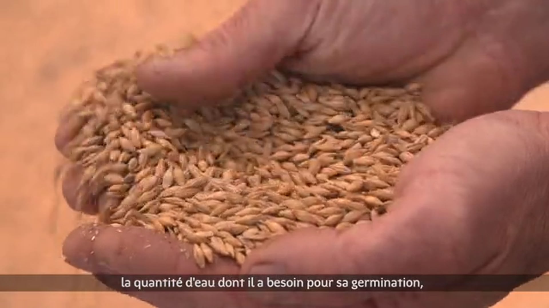 La malterie de Bretagne