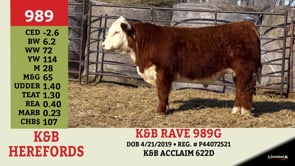 Lot #989 - K&B RAVE 989G
