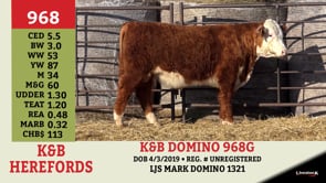 Lot #968 - K&B DOMINO 968G
