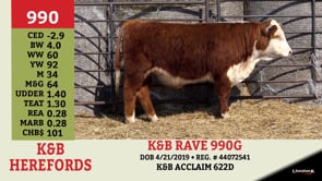 Lot #990 - K&B RAVE 990G