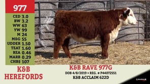 Lot #977 - K&B RAVE 977G