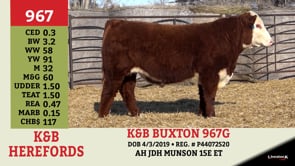 Lot #967 - K&B BUXTON 967G