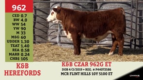 Lot #962 - K&B CZAR 962G ET
