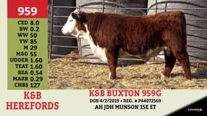 Lot #959 - K&B BUXTON 959G