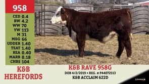 Lot #958 - K&B RAVE 958G
