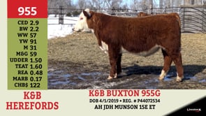 Lot #955 - K&B BUXTON 955G