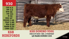 Lot #930 - K&B DOMINO 930G