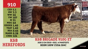Lot #910 - K&B BRIGADE 910G ET