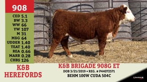 Lot #908 - K&B BRIGADE 908G ET