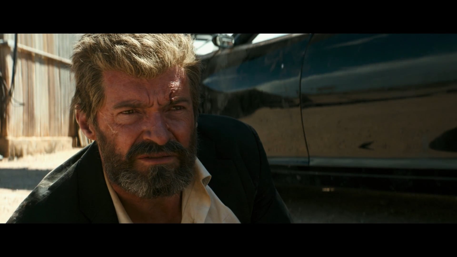 Logan - Claws