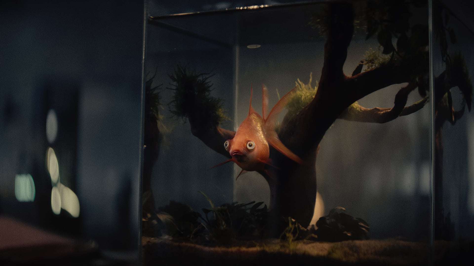 Virtane - Aurinkoenergia 30s