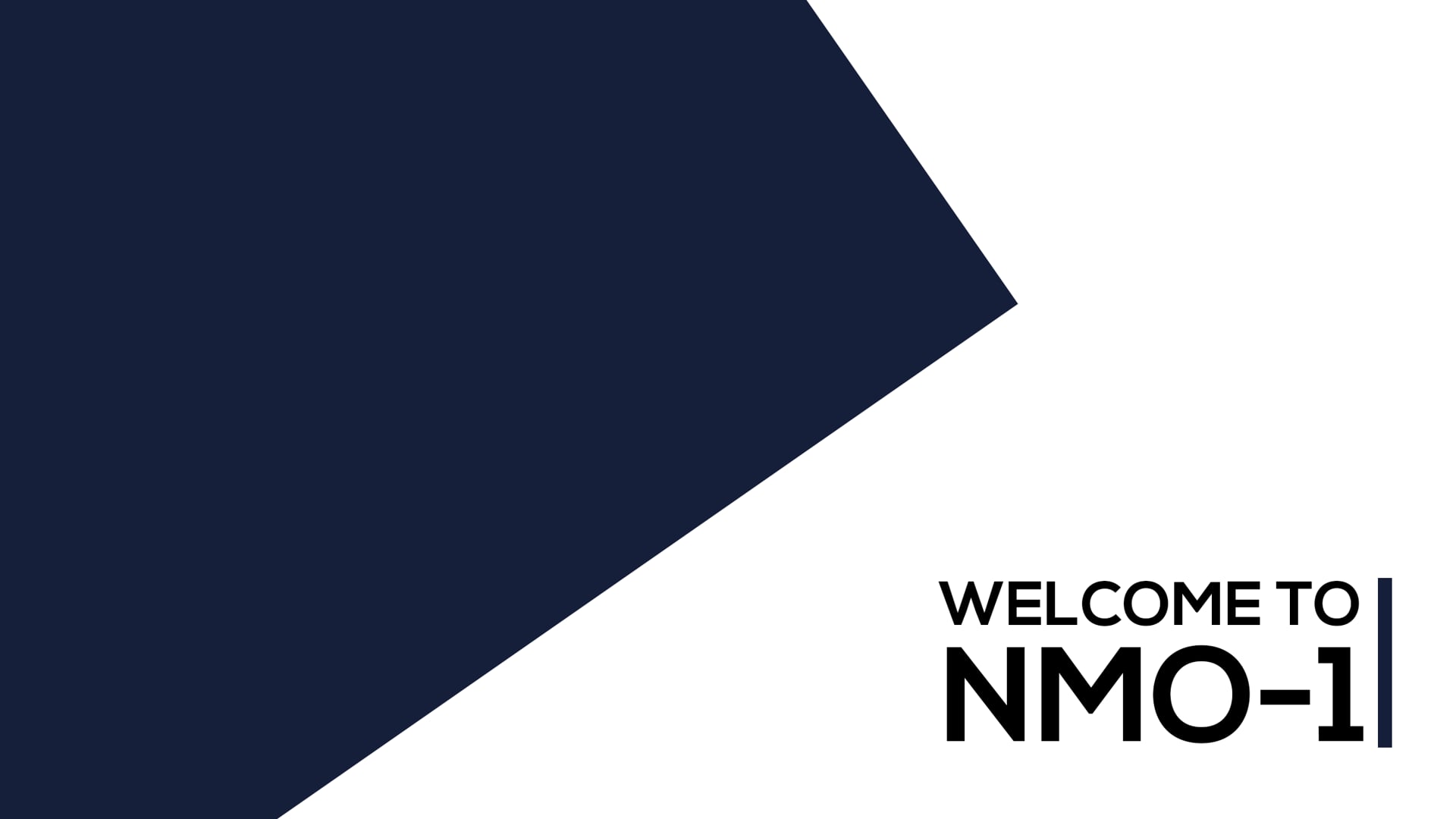 NMO 1 Autopilot