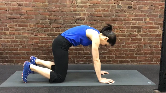 7 Key Hip Flexor Stretches for Tight Hips (Video Demo)