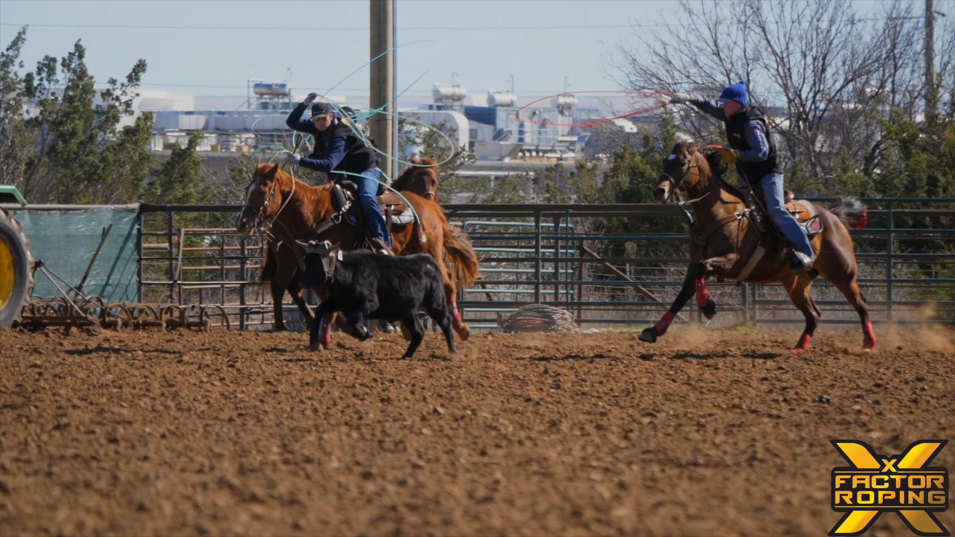 team roping basics