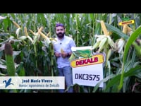 Características de la variedad DKC3575