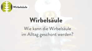 Anatomie der Kreuzwirbel