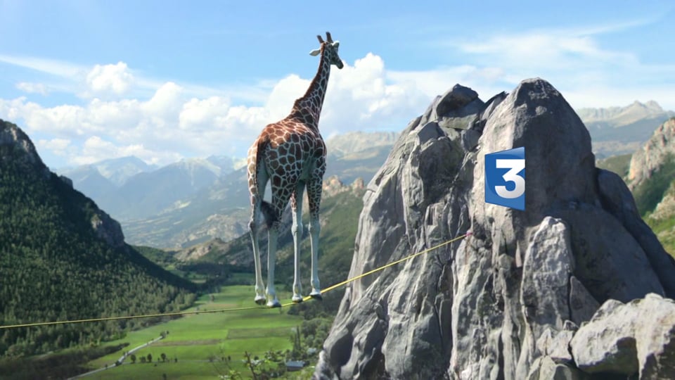 Idents France3 - Eté 2013