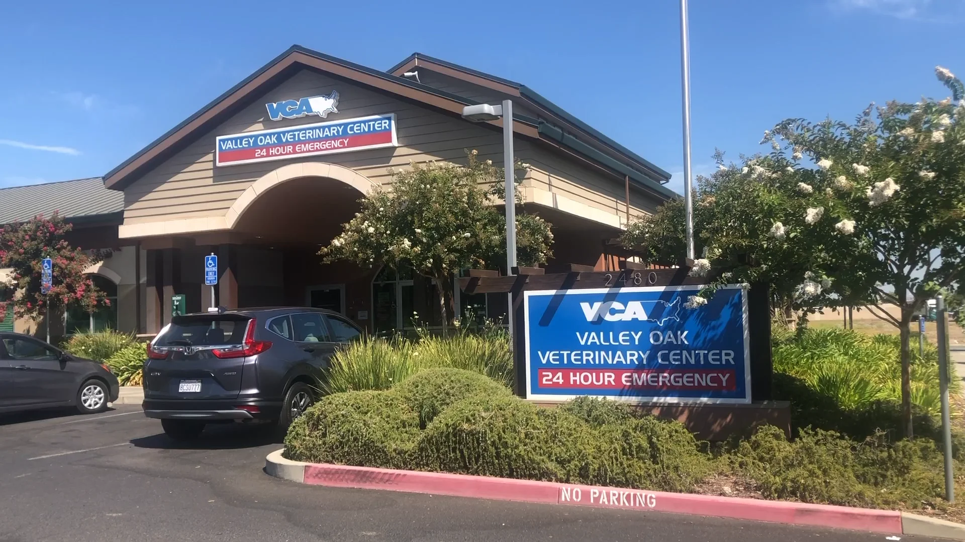 Vca veterinary hot sale medical center