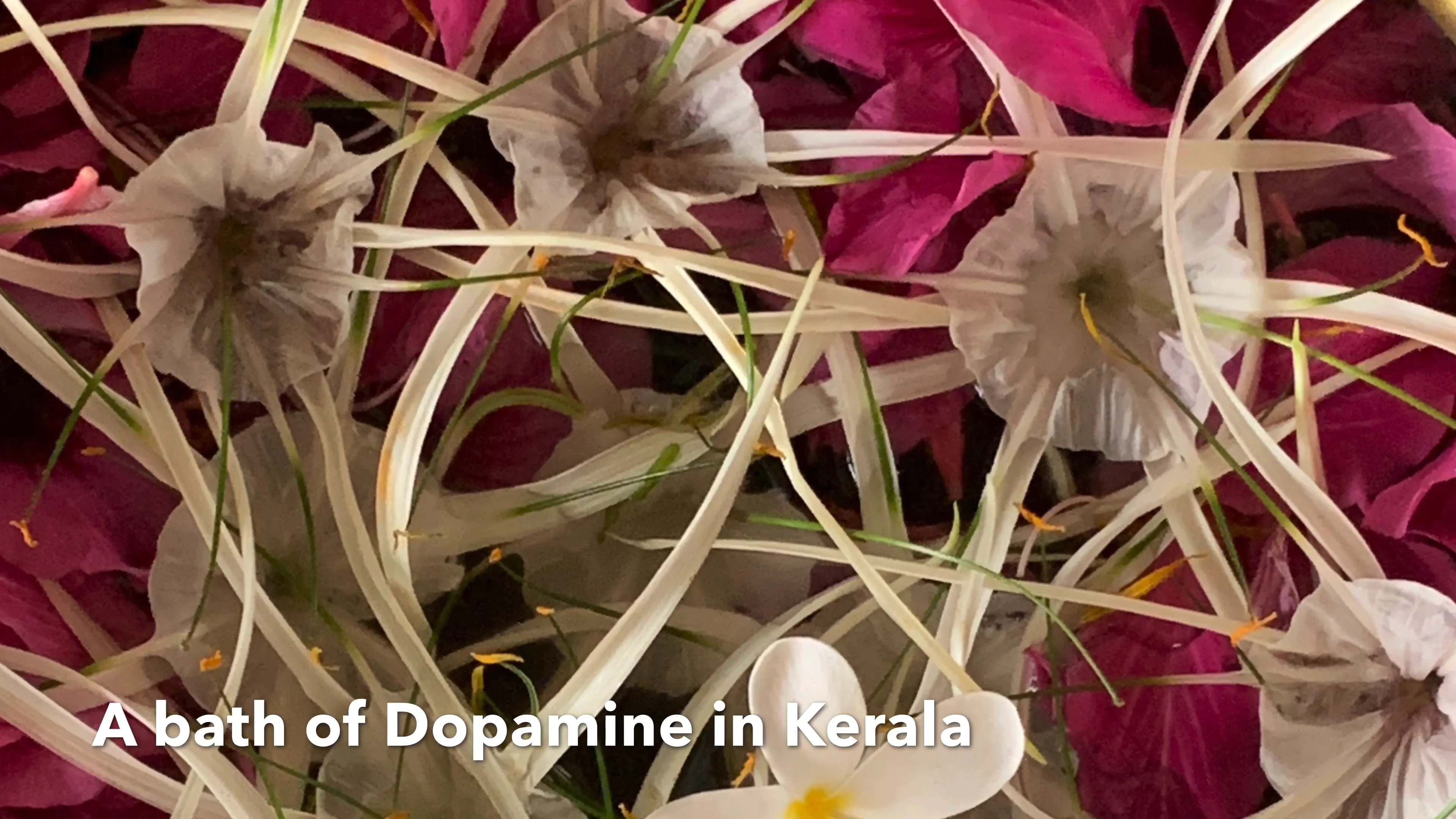 A bath of Dopamine in Kerala