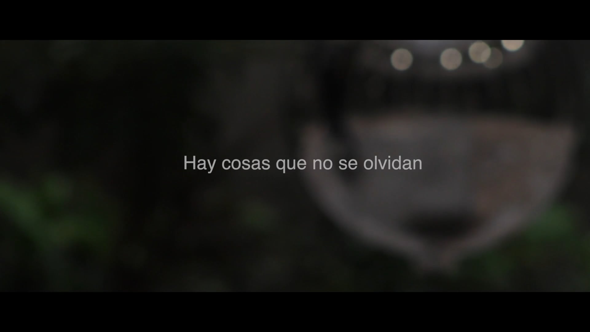 Hay cosas que no se olvidan. Felices Fiestas 2017. Universidad de Granada (Créditos)