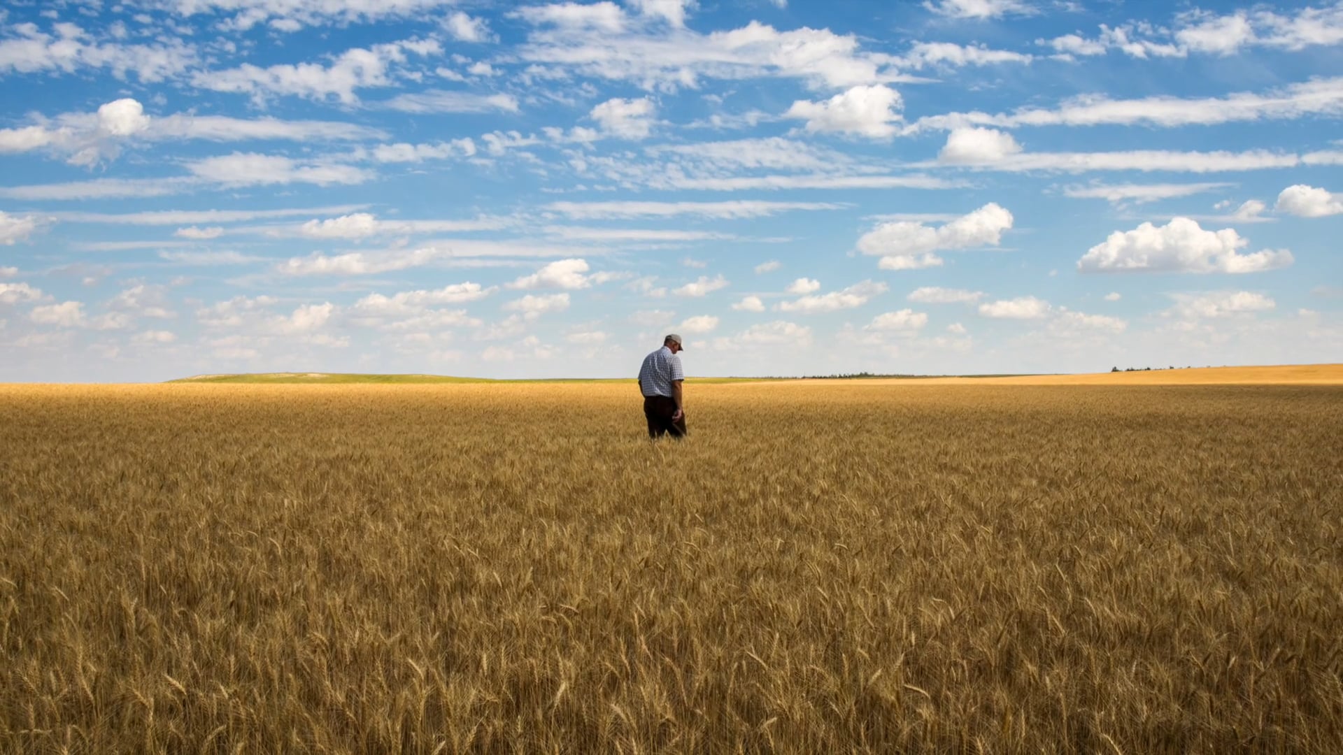 "American Harvest: God, Country and Farming in the Heartland" by Marie Mutsuki Mockett (book trailer)