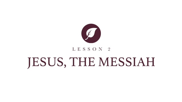 video image