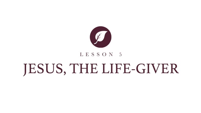 video image