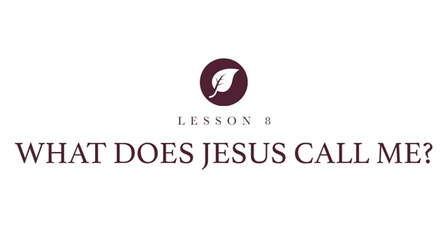 video image