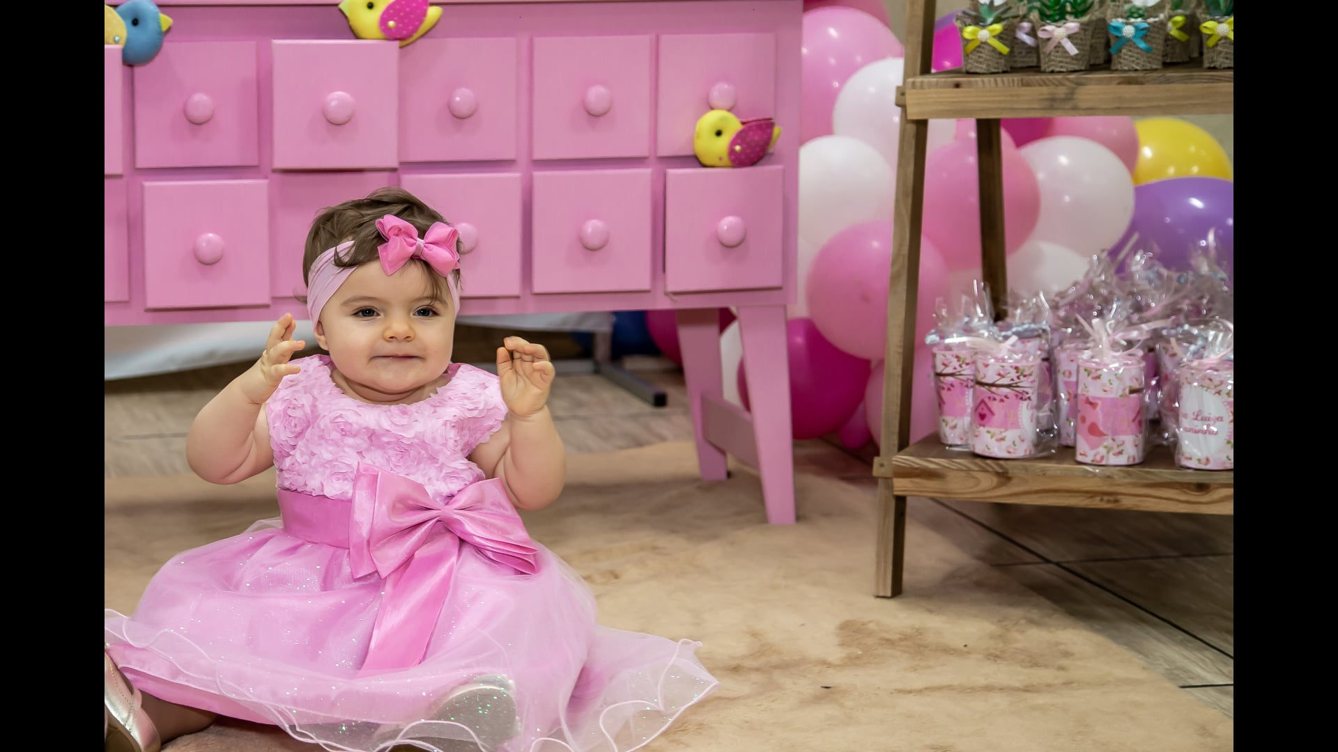 Festa Infantil - Ana Luisa 1 Aninho - Melhores Momentos