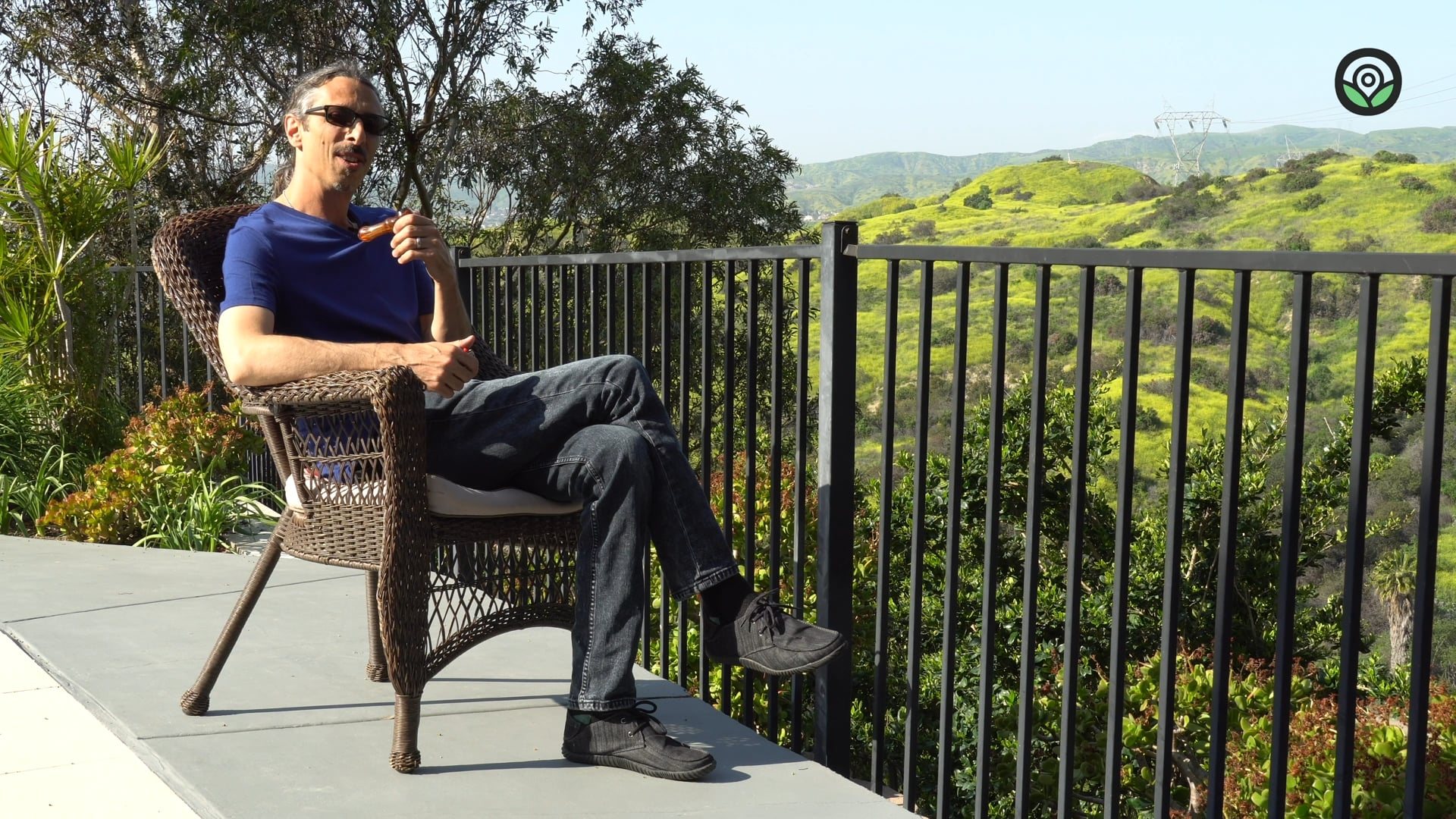 Cannatonic Feminized Cannabis Seeds